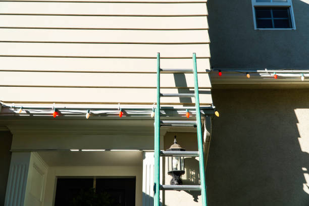 Best Brick Veneer Siding  in Lillian, AL