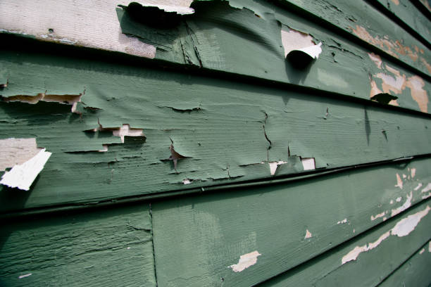 Best Brick Veneer Siding  in Lillian, AL