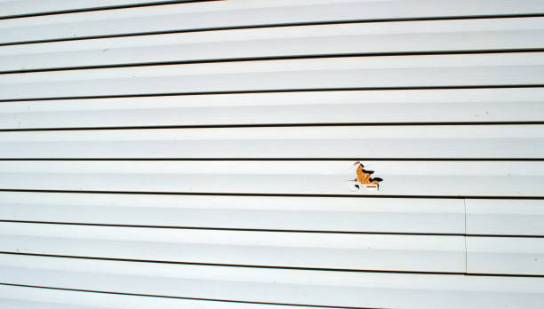 Lillian, AL Siding Installation & Repair Company