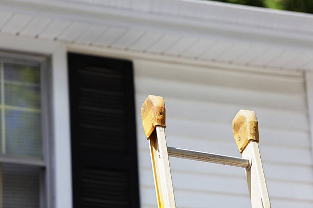 Best Insulated Siding Installation  in Lillian, AL