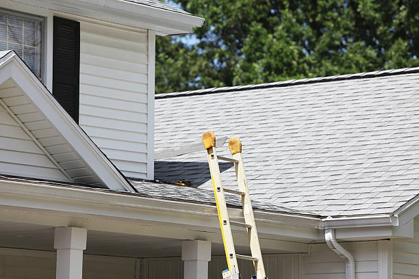 Best Aluminum Siding Installation  in Lillian, AL
