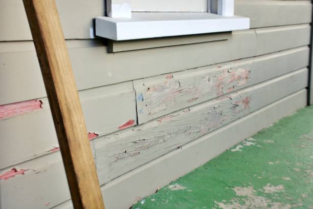 Best Siding Painting and Refinishing  in Lillian, AL